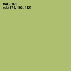 #AEC070 - Wild Willow Color Image