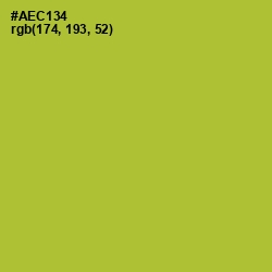 #AEC134 - Key Lime Pie Color Image