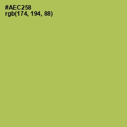 #AEC258 - Celery Color Image