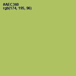 #AEC360 - Wild Willow Color Image