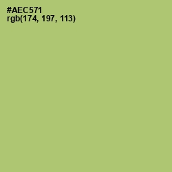 #AEC571 - Wild Willow Color Image