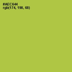 #AEC644 - Conifer Color Image