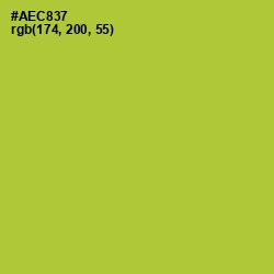 #AEC837 - Key Lime Pie Color Image