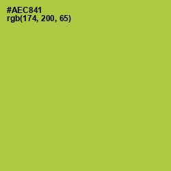 #AEC841 - Conifer Color Image