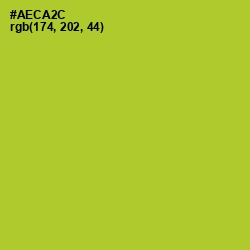 #AECA2C - Key Lime Pie Color Image