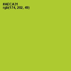 #AECA31 - Key Lime Pie Color Image