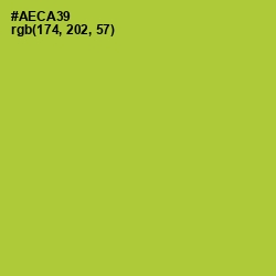 #AECA39 - Key Lime Pie Color Image