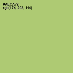 #AECA72 - Wild Willow Color Image