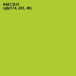 #AECB31 - Key Lime Pie Color Image