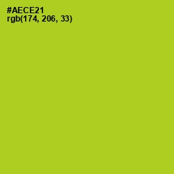 #AECE21 - Key Lime Pie Color Image