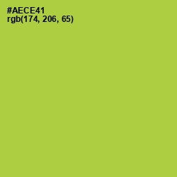 #AECE41 - Conifer Color Image