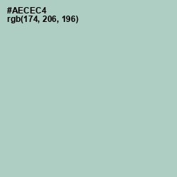 #AECEC4 - Opal Color Image