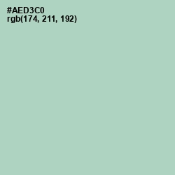 #AED3C0 - Surf Color Image