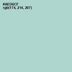 #AED6CF - Jet Stream Color Image