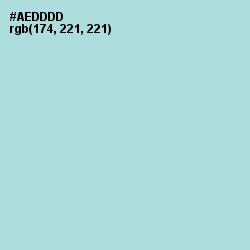 #AEDDDD - Aqua Island Color Image