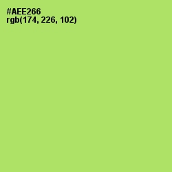#AEE266 - Conifer Color Image