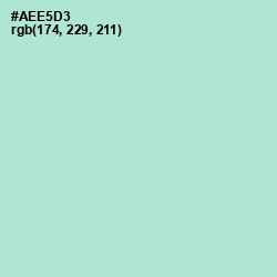 #AEE5D3 - Water Leaf Color Image