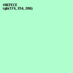 #AEFECE - Magic Mint Color Image