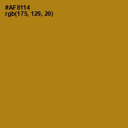 #AF8114 - Hot Toddy Color Image