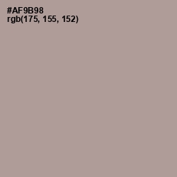 #AF9B98 - Dusty Gray Color Image