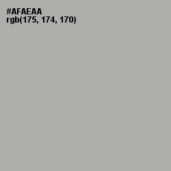 #AFAEAA - Silver Chalice Color Image