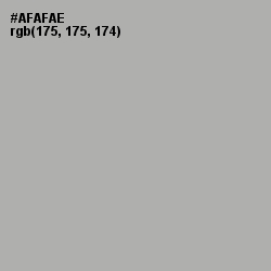 #AFAFAE - Silver Chalice Color Image