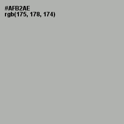 #AFB2AE - Silver Chalice Color Image