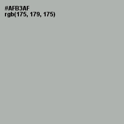#AFB3AF - Silver Chalice Color Image