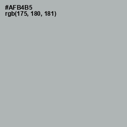 #AFB4B5 - Bombay Color Image