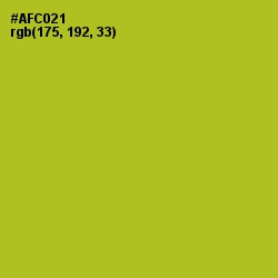 #AFC021 - Key Lime Pie Color Image