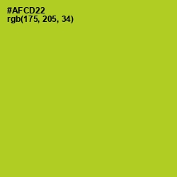 #AFCD22 - Key Lime Pie Color Image