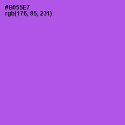 #B055E7 - Amethyst Color Image