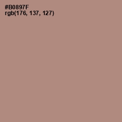 #B0897F - Sandrift Color Image