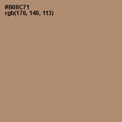 #B08C71 - Sandal Color Image