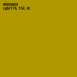 #B09800 - Hot Toddy Color Image