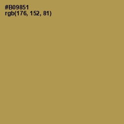 #B09851 - Limed Oak Color Image