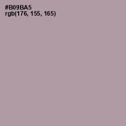 #B09BA5 - Amethyst Smoke Color Image