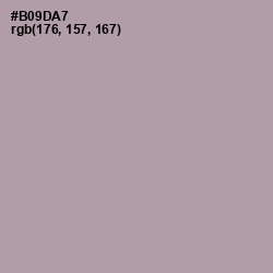 #B09DA7 - Amethyst Smoke Color Image