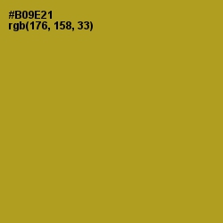 #B09E21 - Lemon Ginger Color Image
