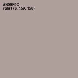 #B09F9C - Thatch Color Image