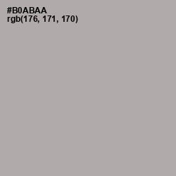 #B0ABAA - Silver Chalice Color Image