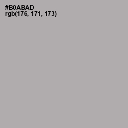 #B0ABAD - Silver Chalice Color Image