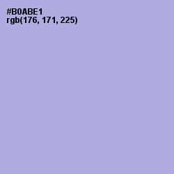 #B0ABE1 - Biloba Flower Color Image
