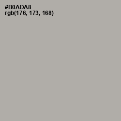#B0ADA8 - Silver Chalice Color Image