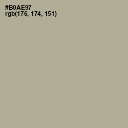 #B0AE97 - Taupe Gray Color Image