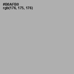 #B0AFB0 - Silver Chalice Color Image