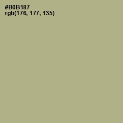 #B0B187 - Swamp Green Color Image