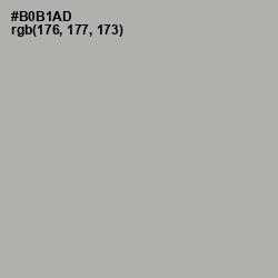 #B0B1AD - Silk Color Image