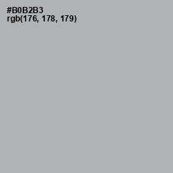 #B0B2B3 - Nobel Color Image