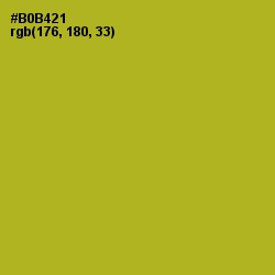 #B0B421 - Citron Color Image